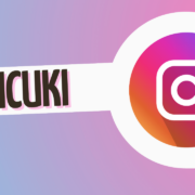 Picuki Instagram viewer